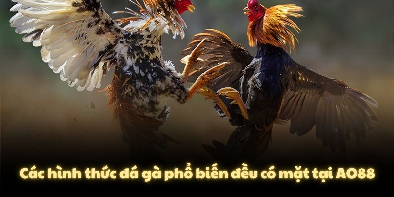 Các hình thức đá gà phổ biến đều có mặt tại AO88