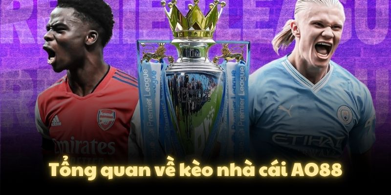 Tổng quan về kèo nhà cái AO88