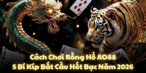 Cách Chơi Rồng Hổ AO88: 5 Bí Kíp Bắt Cầu Hốt Bạc Năm 2026